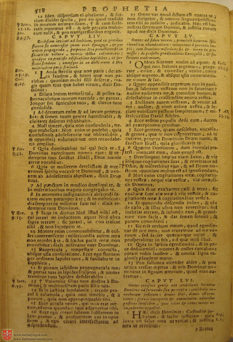 Catholic Latin Vulgate Bible page 0533