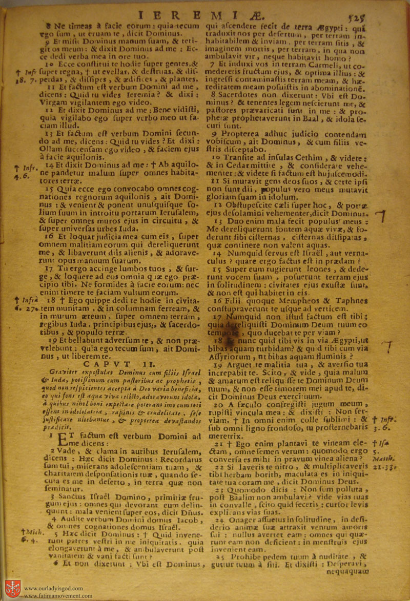 Catholic Latin Vulgate Bible page 0540