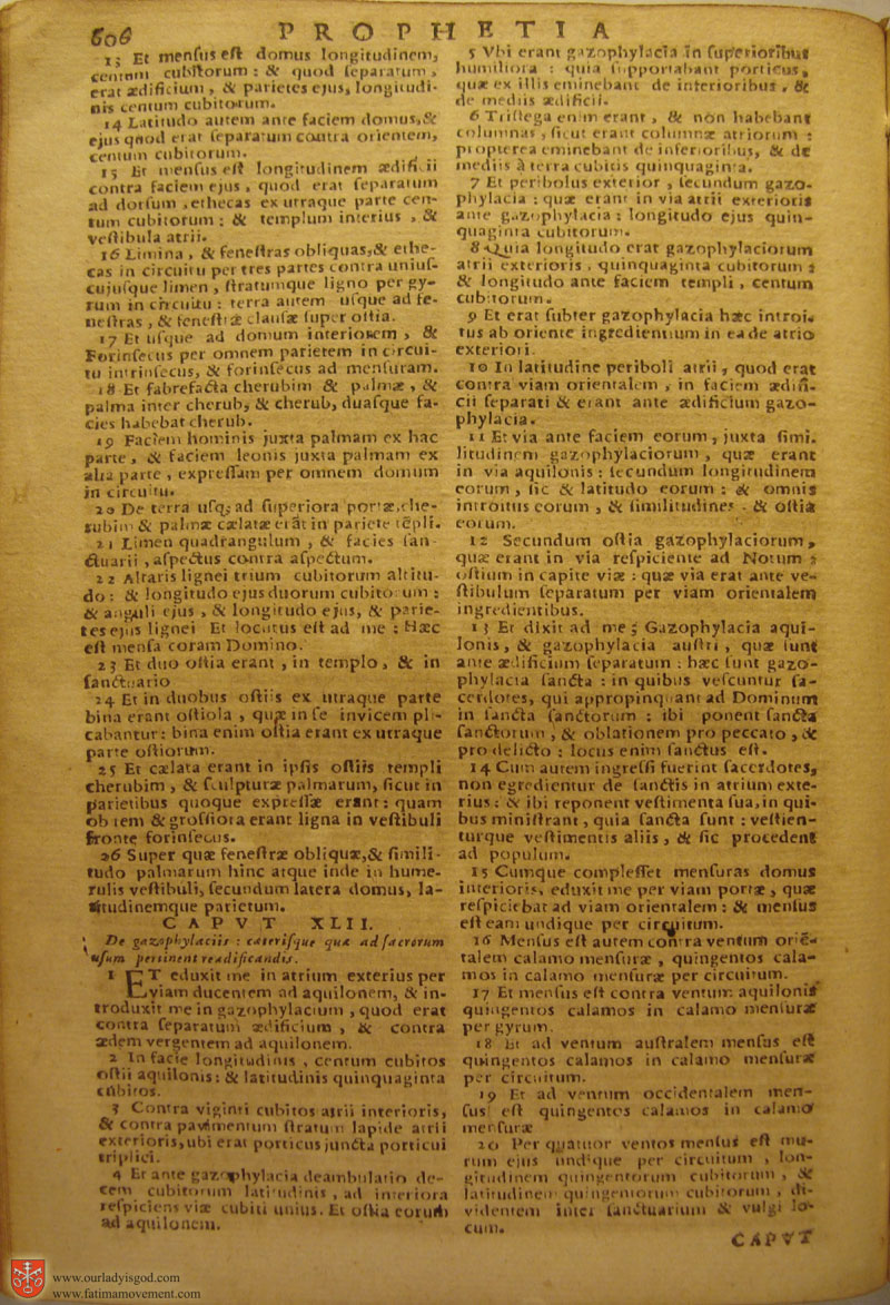 Catholic Latin Vulgate Bible page 0621