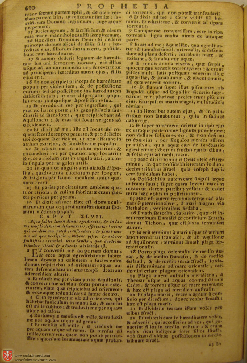 Catholic Latin Vulgate Bible page 0625