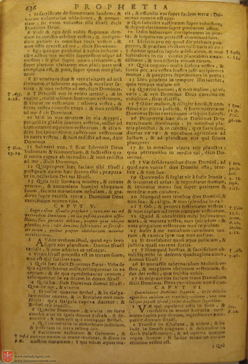 Catholic Latin Vulgate Bible page 0651