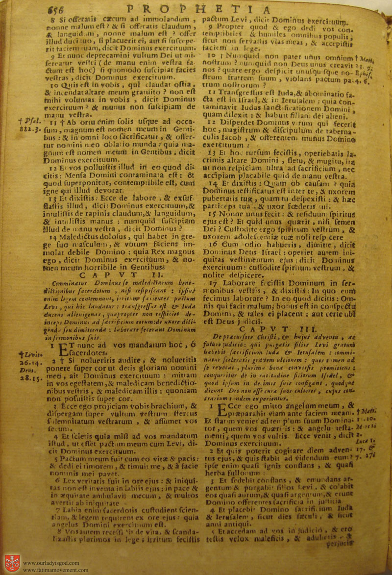 Catholic Latin Vulgate Bible page 0671