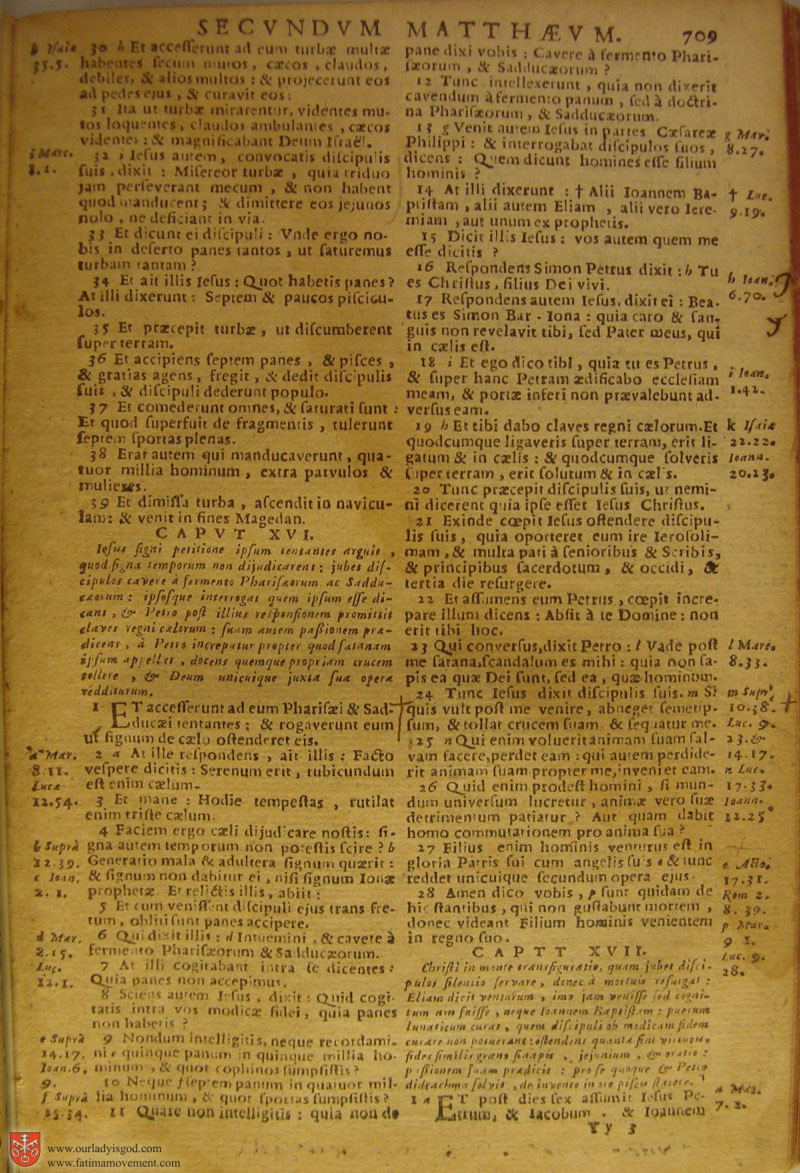 Catholic Latin Vulgate Bible page 0724