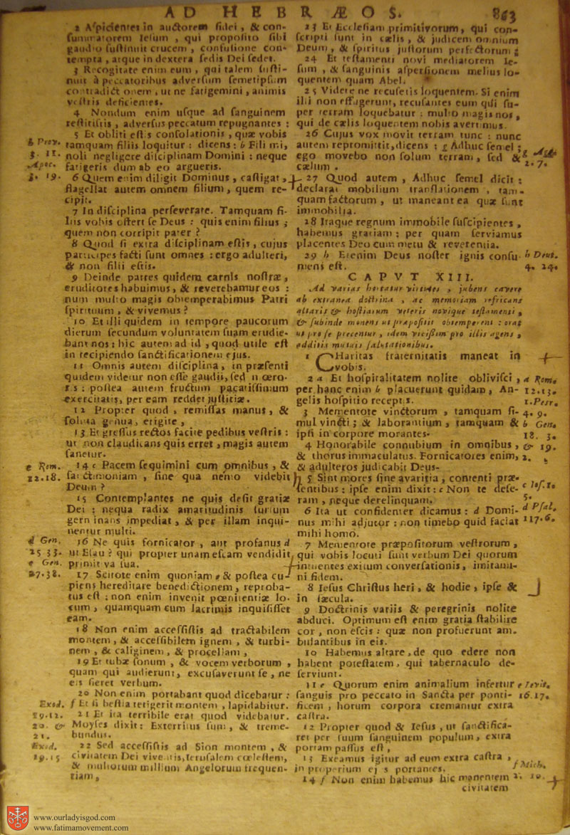 Catholic Latin Vulgate Bible page 0878