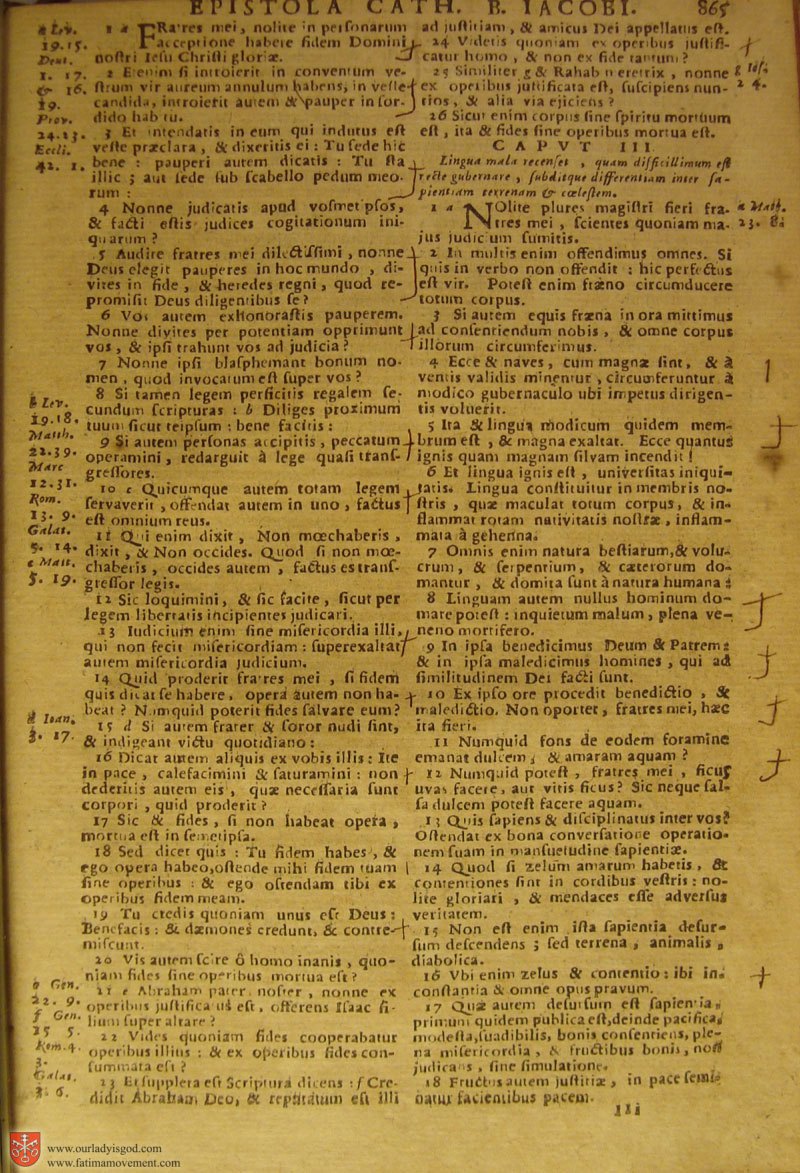 Catholic Latin Vulgate Bible page 0880
