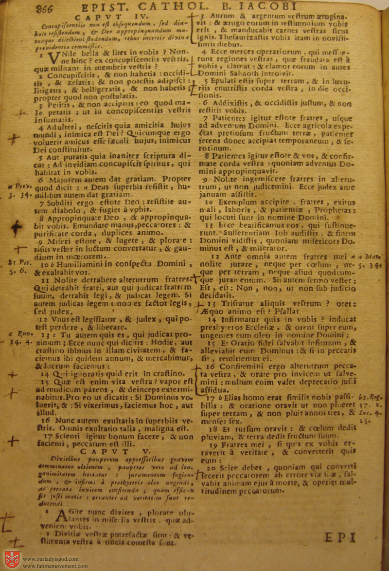 Catholic Latin Vulgate Bible page 0881