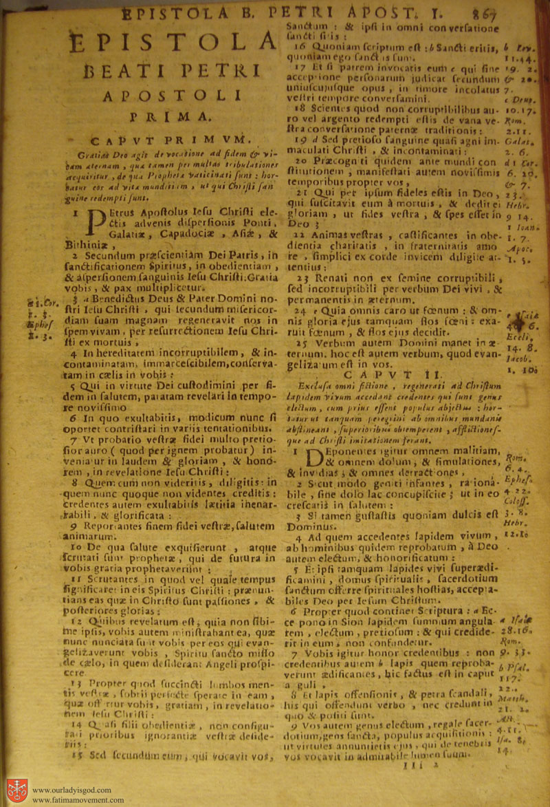 Catholic Latin Vulgate Bible page 0882