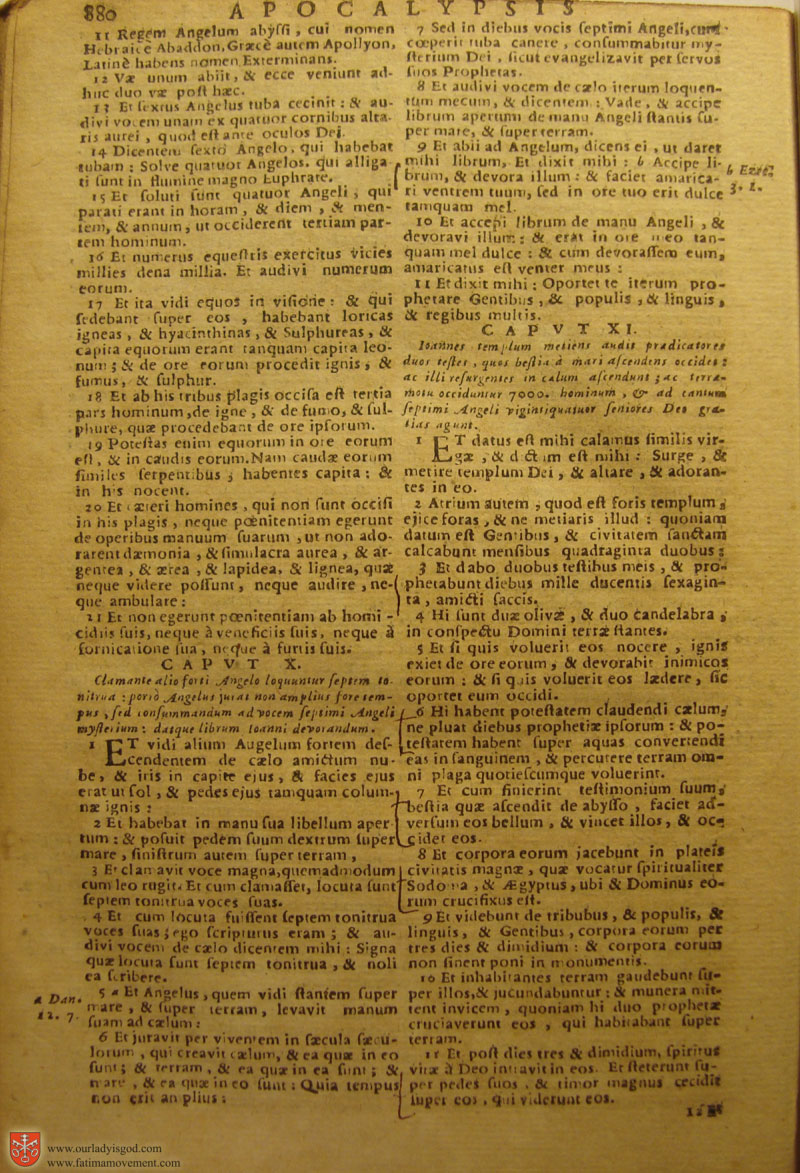 Catholic Latin Vulgate Bible page 0895