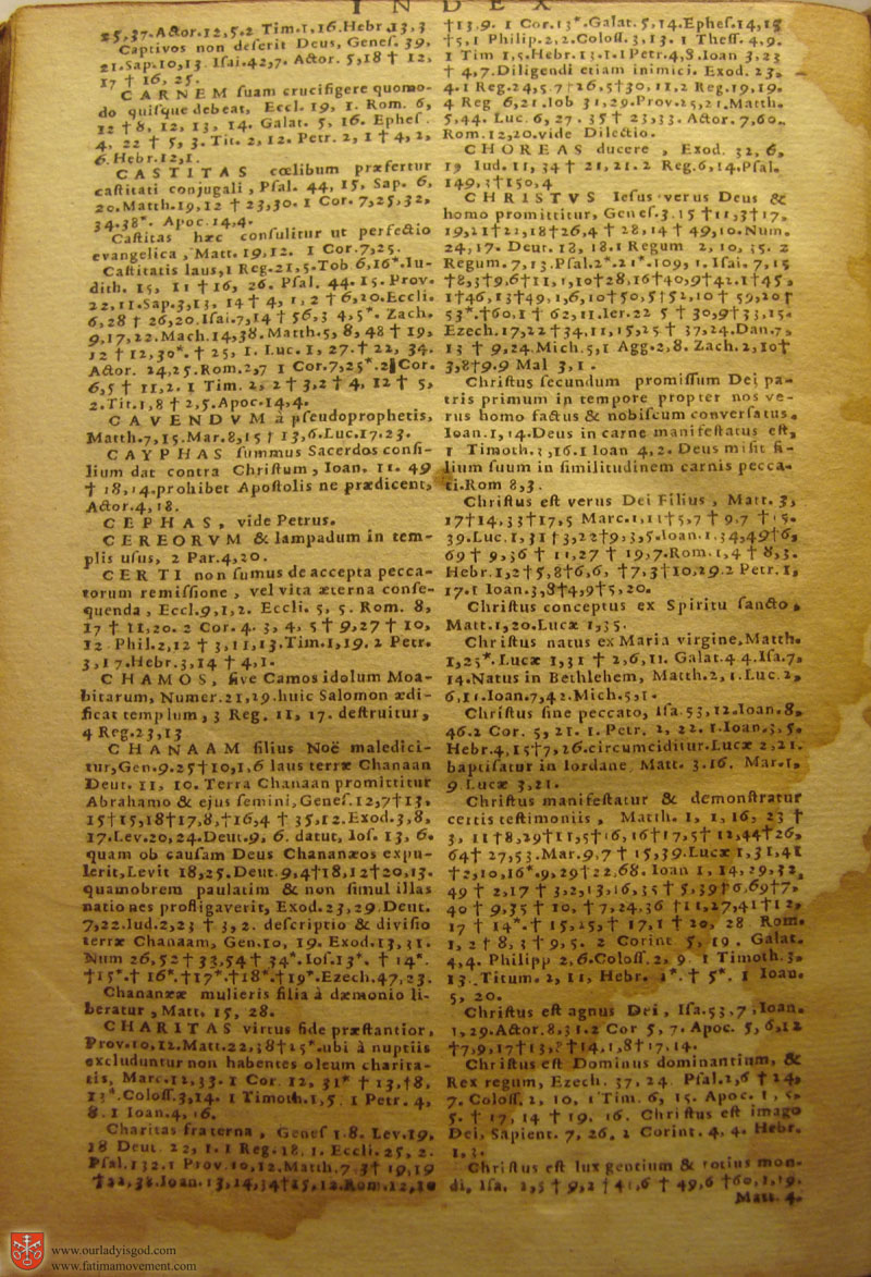 Catholic Latin Vulgate Bible page 0979