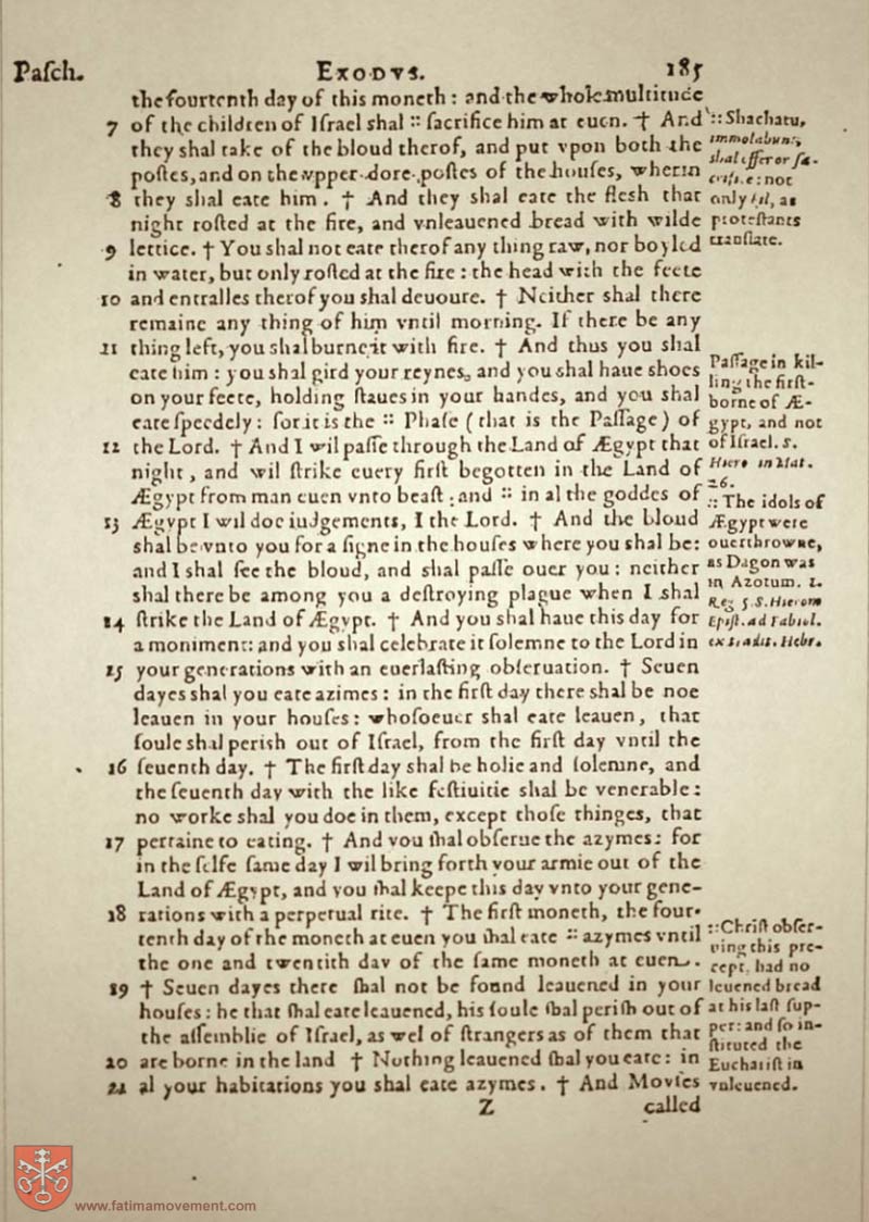 Original Douay Rheims Catholic Bible scan 0205