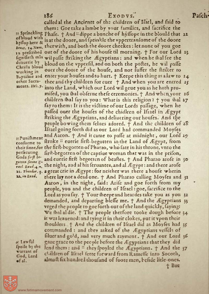Original Douay Rheims Catholic Bible scan 0206