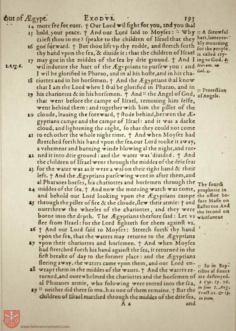 Original Douay Rheims Catholic Bible scan 0213