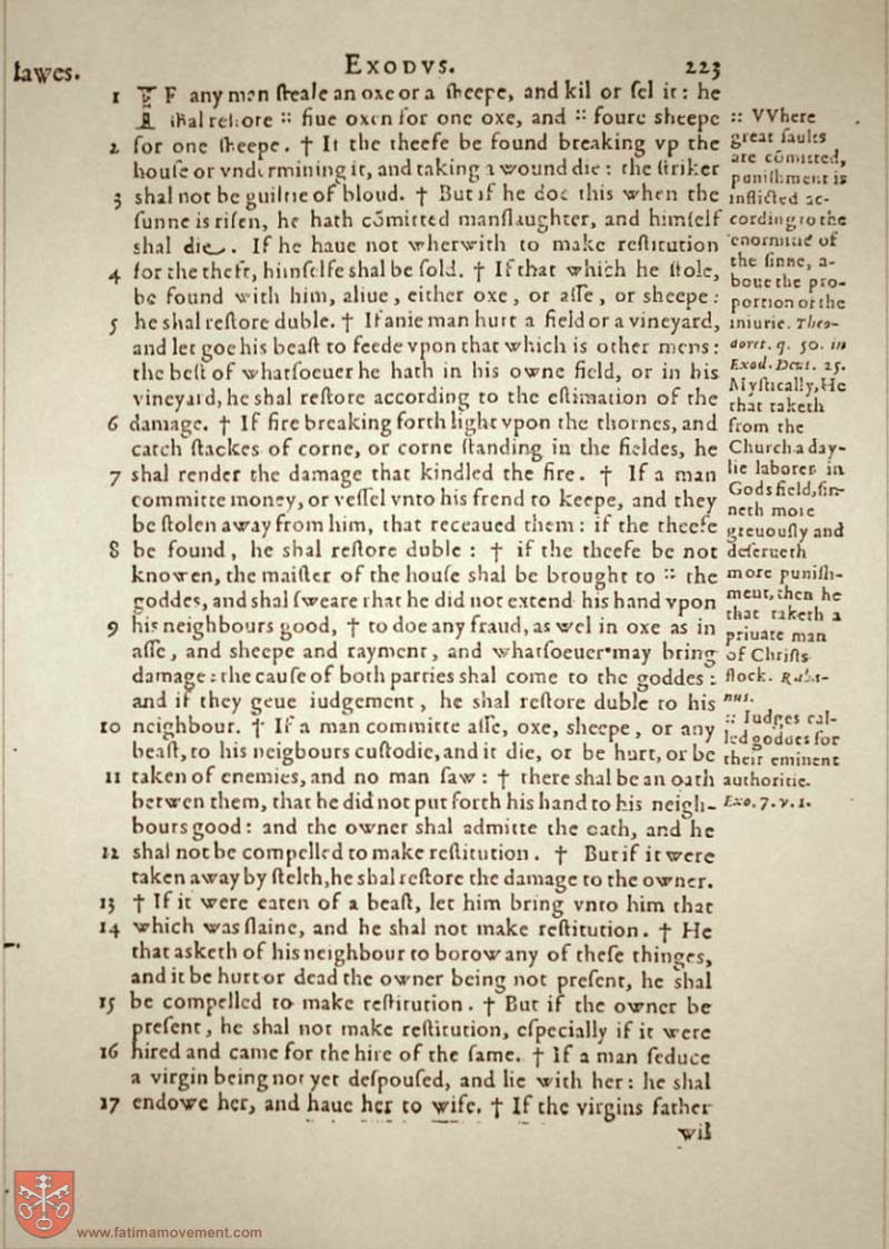Original Douay Rheims Catholic Bible scan 0243