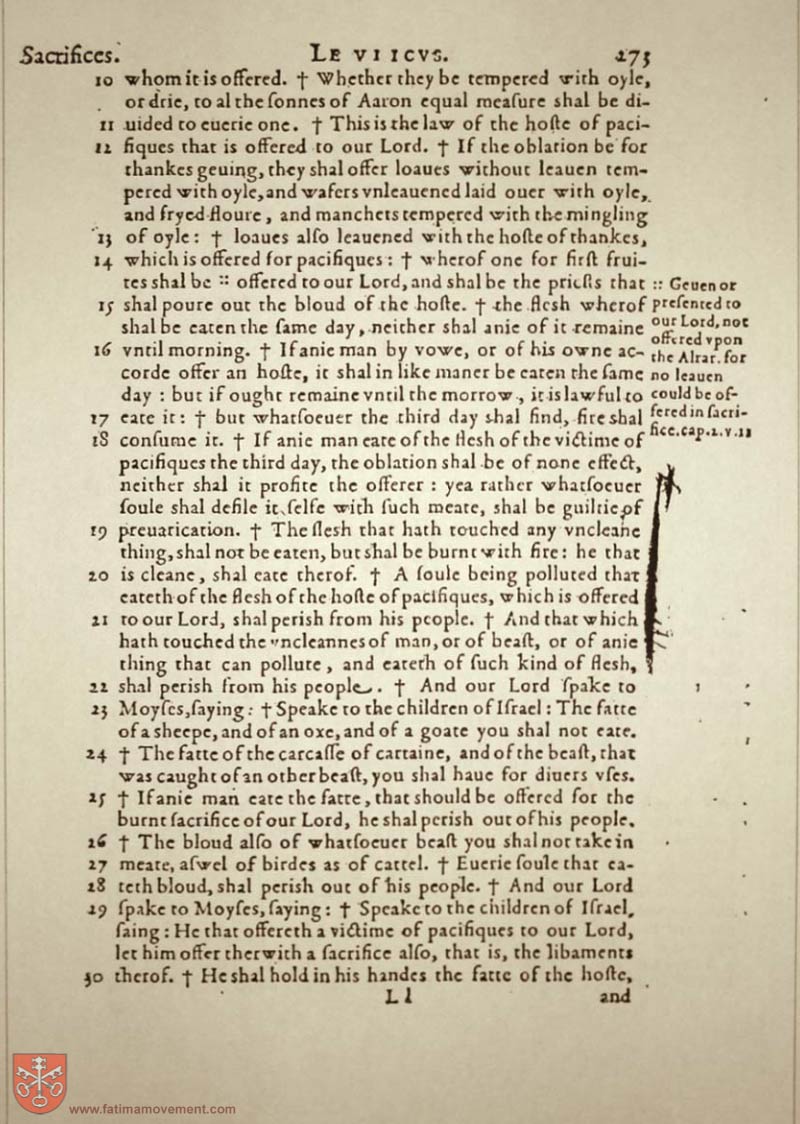 Original Douay Rheims Catholic Bible scan 0293