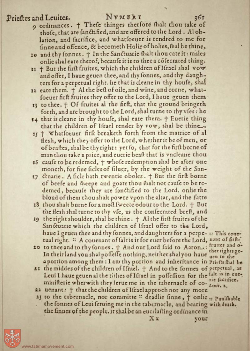 Original Douay Rheims Catholic Bible scan 0381