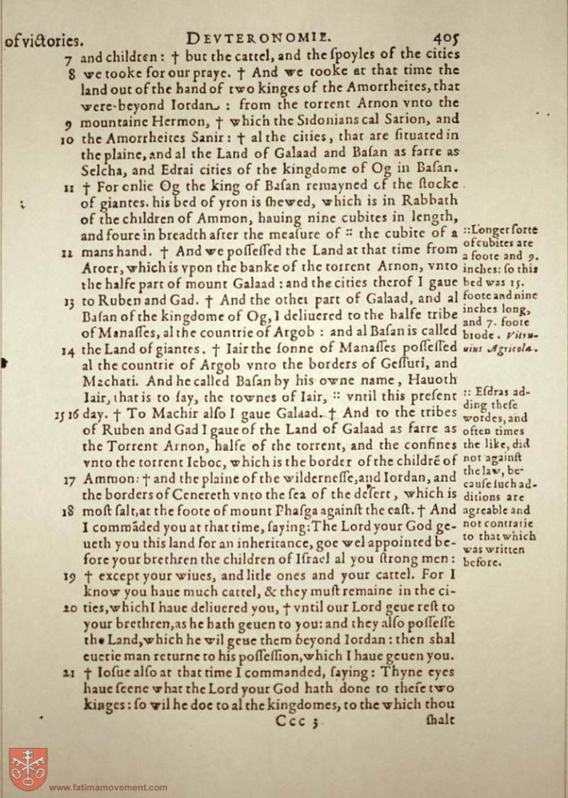 Original Douay Rheims Catholic Bible scan 0425