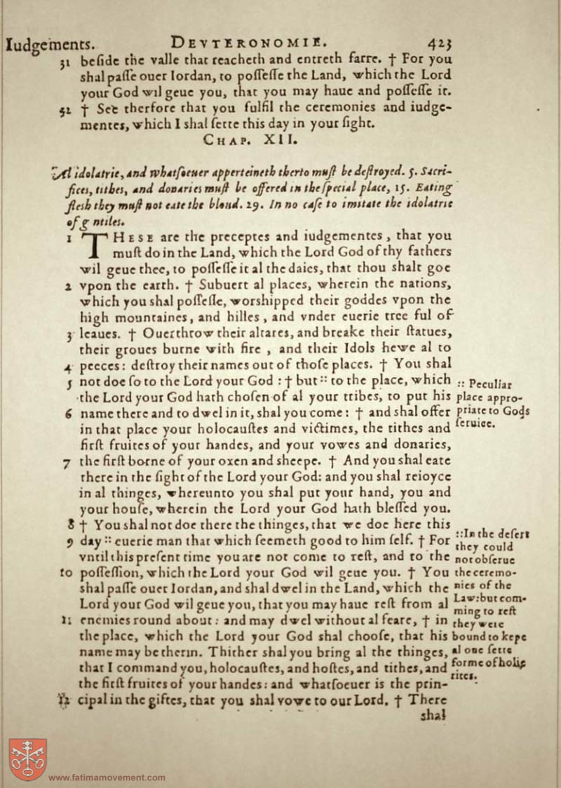Original Douay Rheims Catholic Bible scan 0443