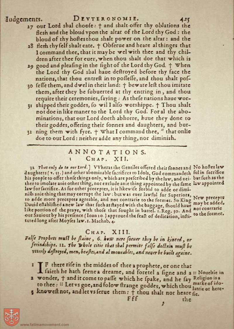 Original Douay Rheims Catholic Bible scan 0445