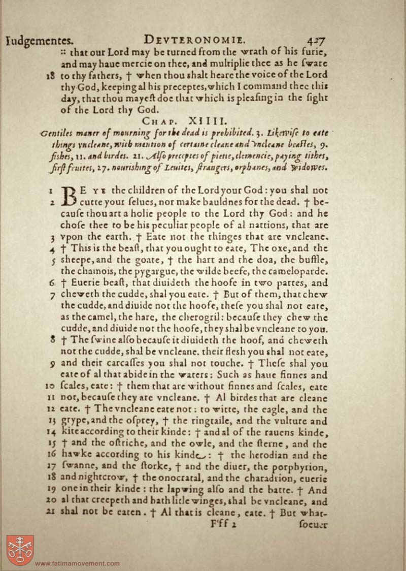 Original Douay Rheims Catholic Bible scan 0447