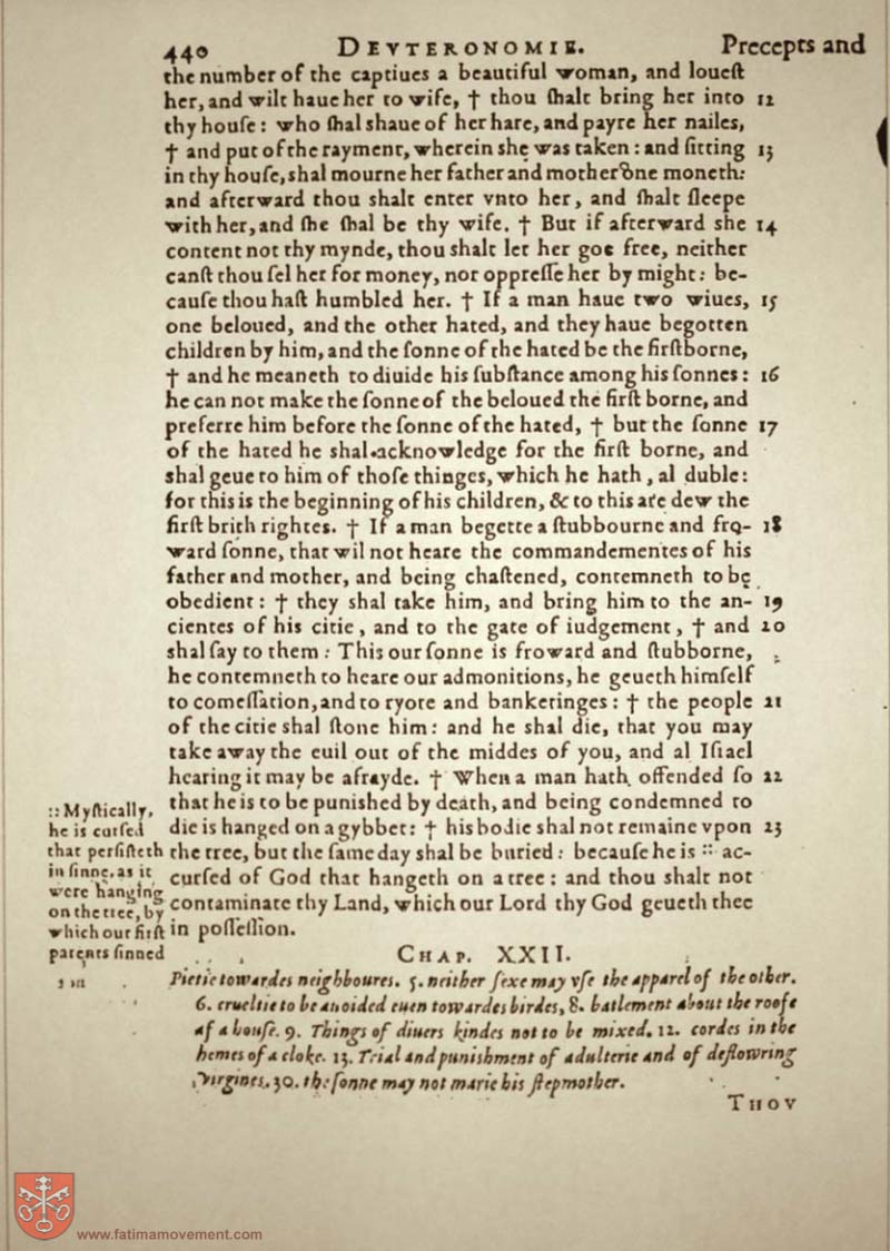 Original Douay Rheims Catholic Bible scan 0460