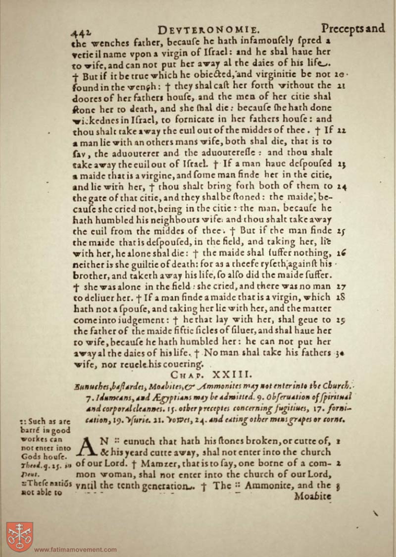 Original Douay Rheims Catholic Bible scan 0462