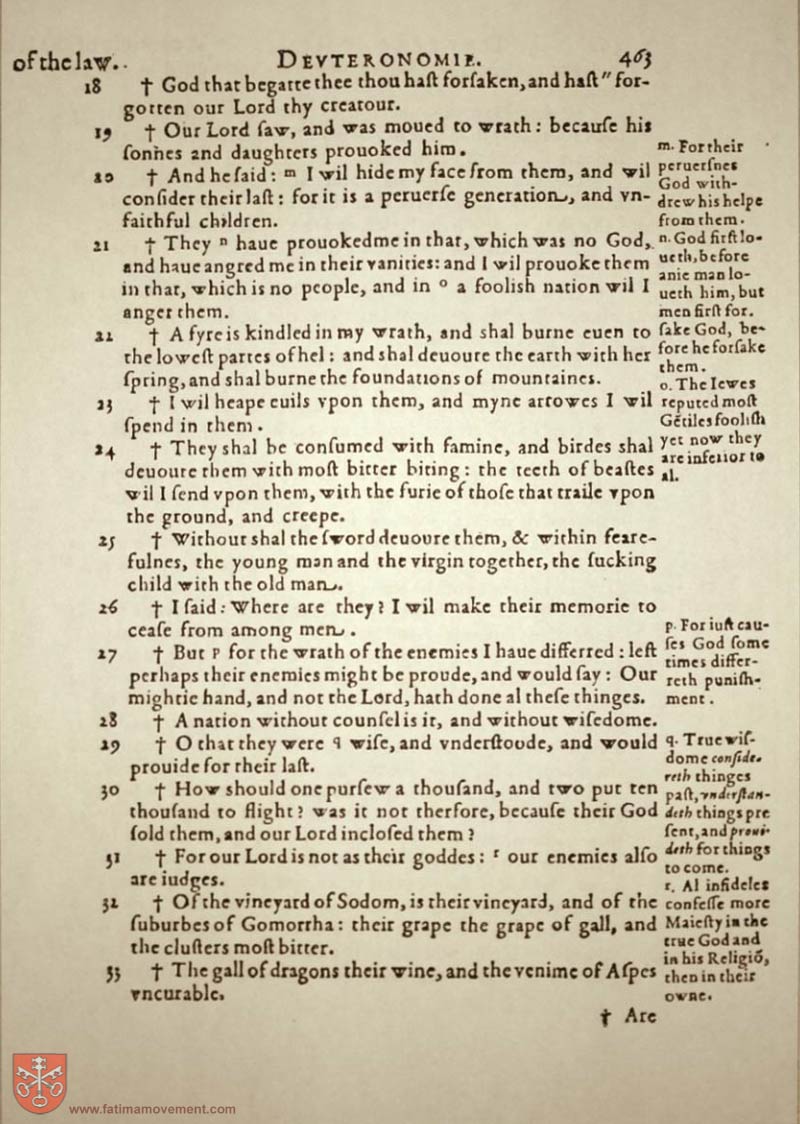 Original Douay Rheims Catholic Bible scan 0483