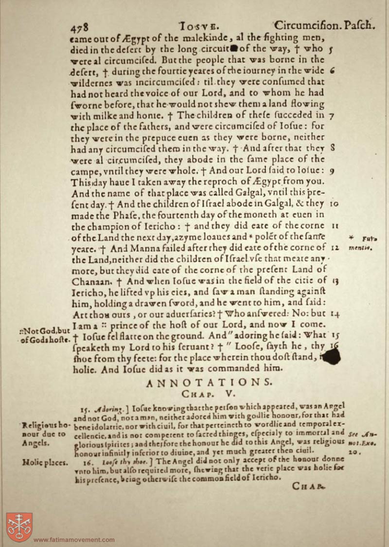 Original Douay Rheims Catholic Bible scan 0498