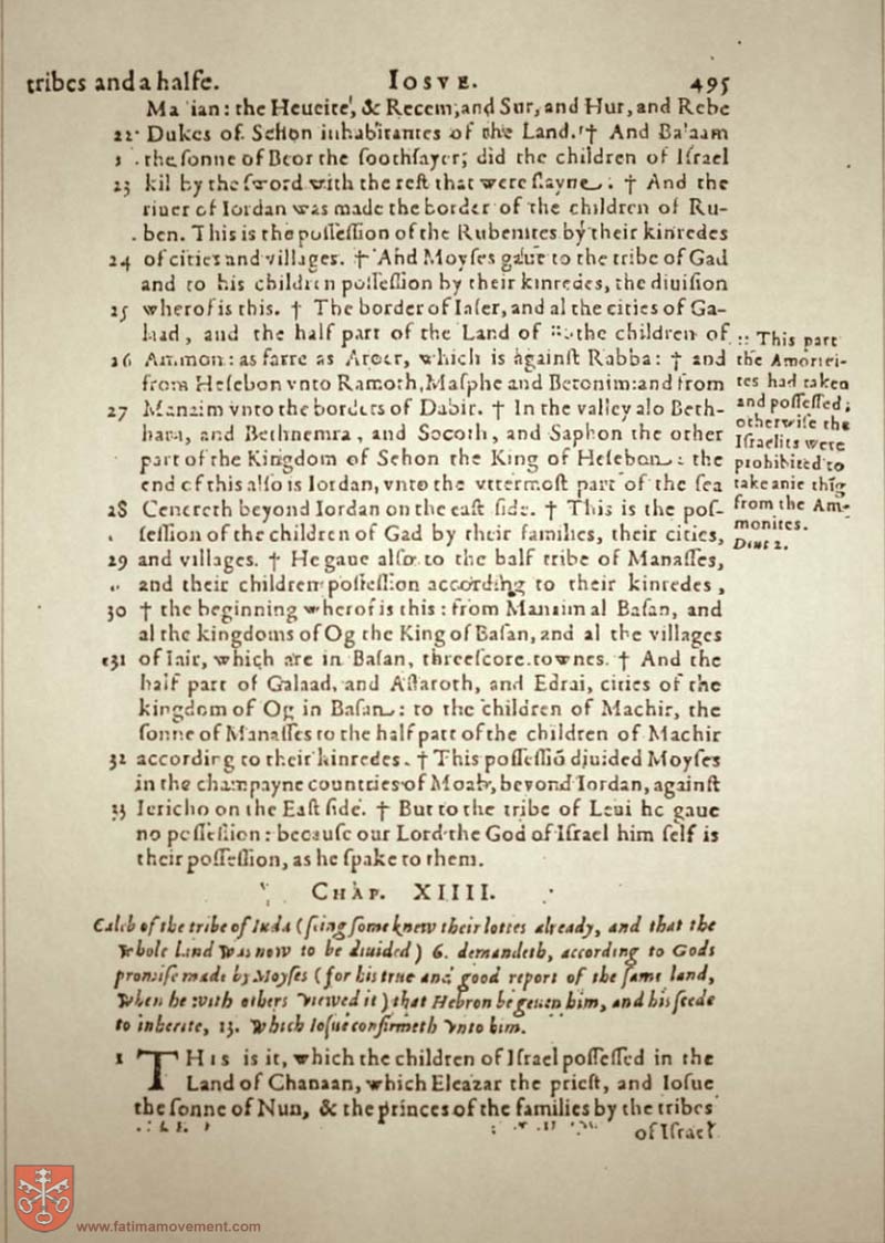 Original Douay Rheims Catholic Bible scan 0515
