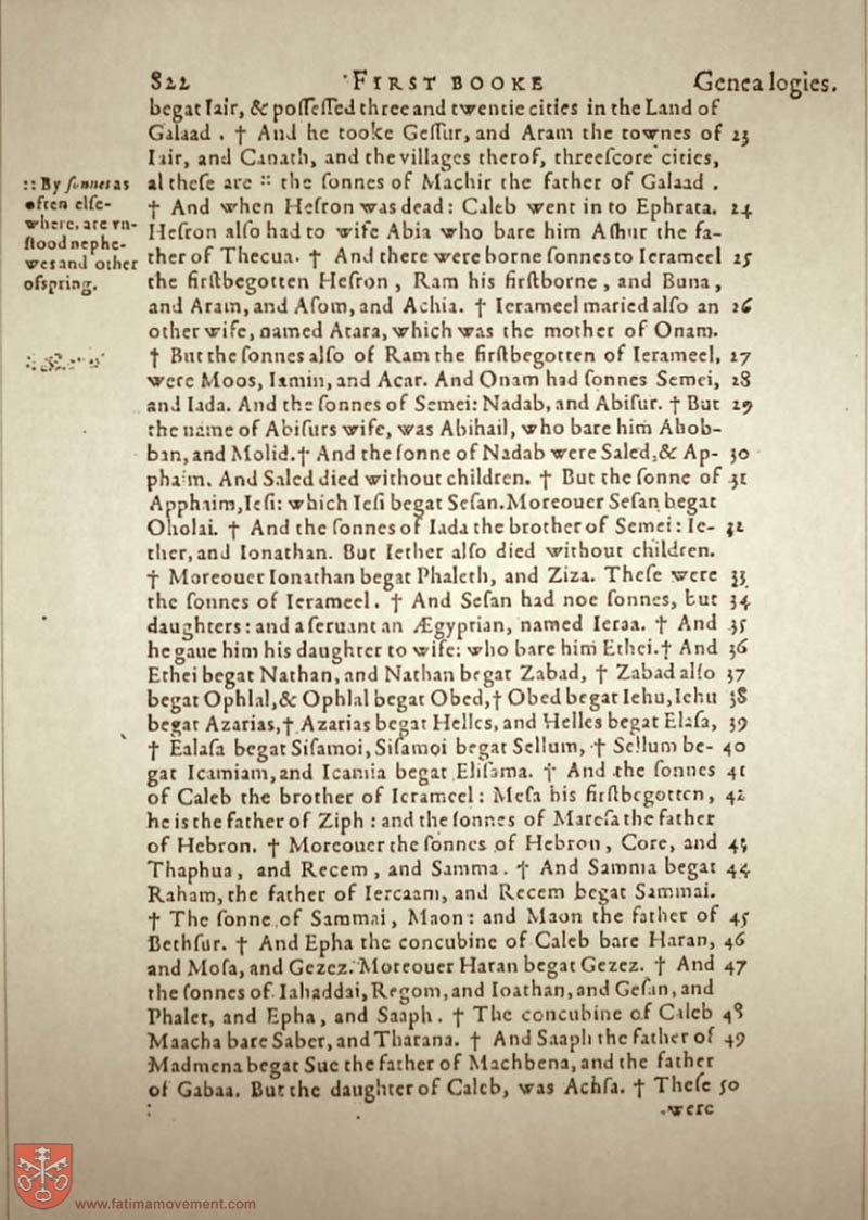 Original Douay Rheims Catholic Bible scan 0842