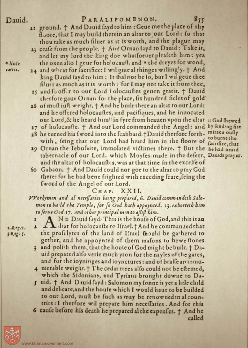 Original Douay Rheims Catholic Bible scan 0875