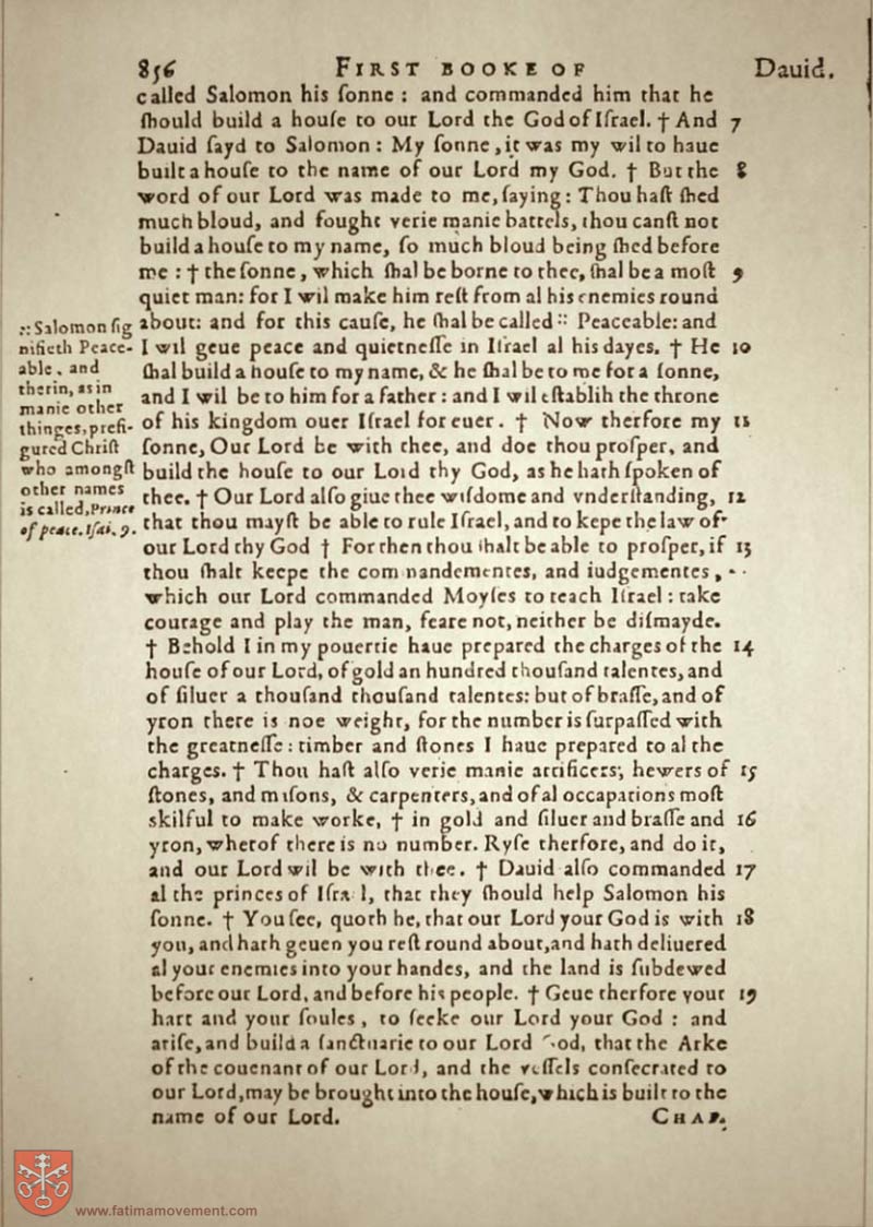 Original Douay Rheims Catholic Bible scan 0876