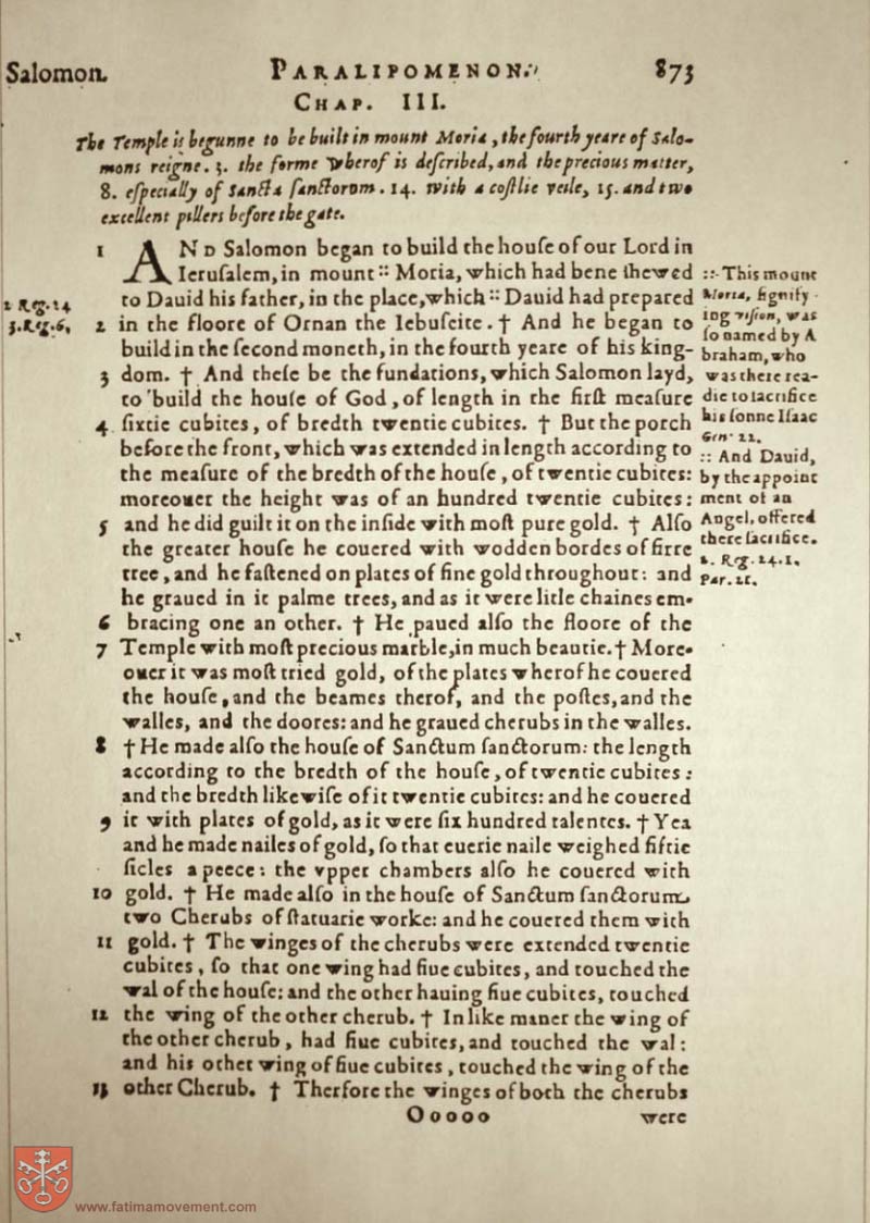 Original Douay Rheims Catholic Bible scan 0893