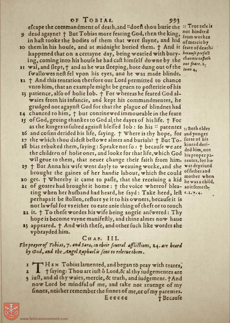 Original Douay Rheims Catholic Bible scan 1013