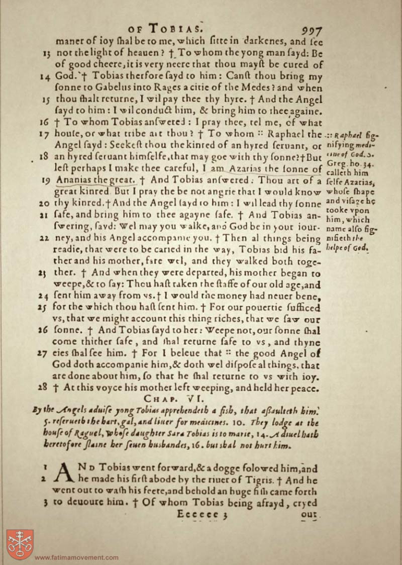 Original Douay Rheims Catholic Bible scan 1017