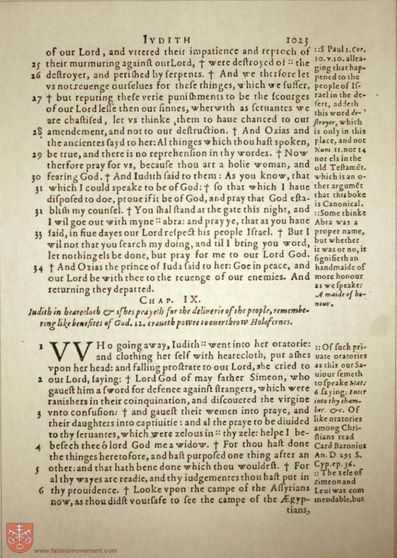 Original Douay Rheims Catholic Bible scan 1043