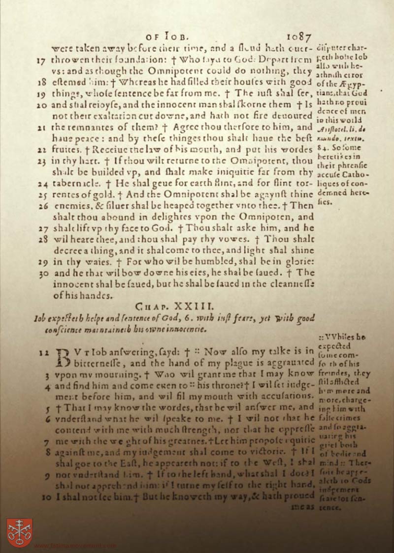 Original Douay Rheims Catholic Bible scan 1107