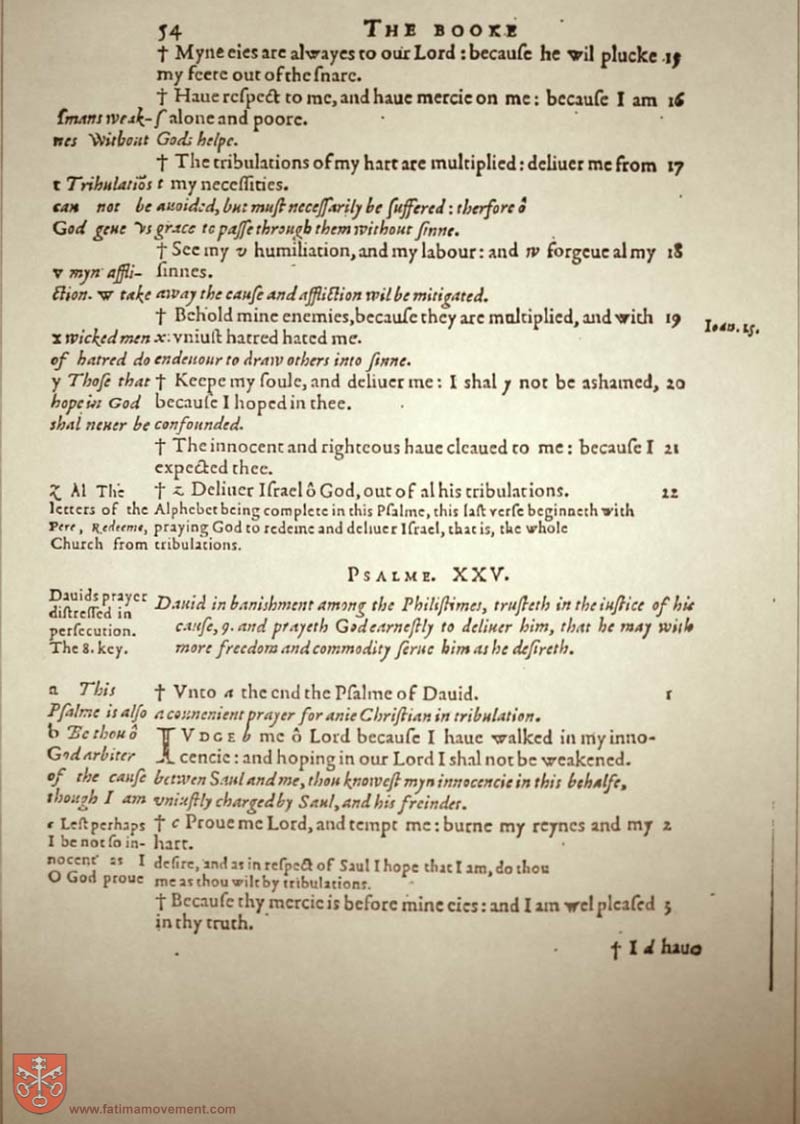 Original Douay Rheims Catholic Bible scan 1189