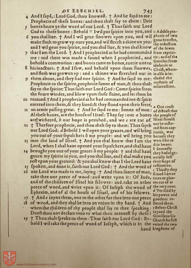 Original Douay Rheims Catholic Bible scan 1878