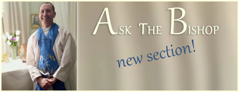 New Section!