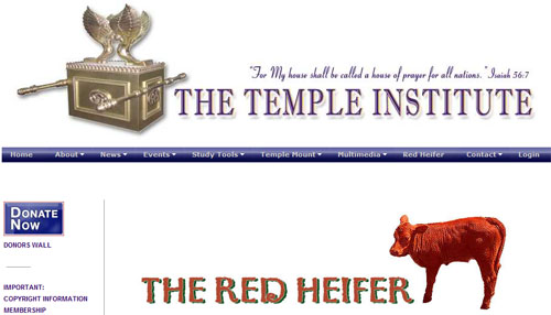 The Jewish Temple Institute