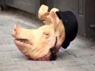 Pigs Head sent to Rome Synagogue