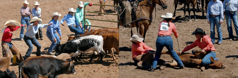 Women taking their rage out on animals